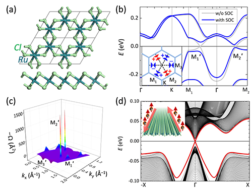 cwcl_(刺猬吃了治几种病) 第1张 cwcl_(刺猬吃了治几种病) 第1张