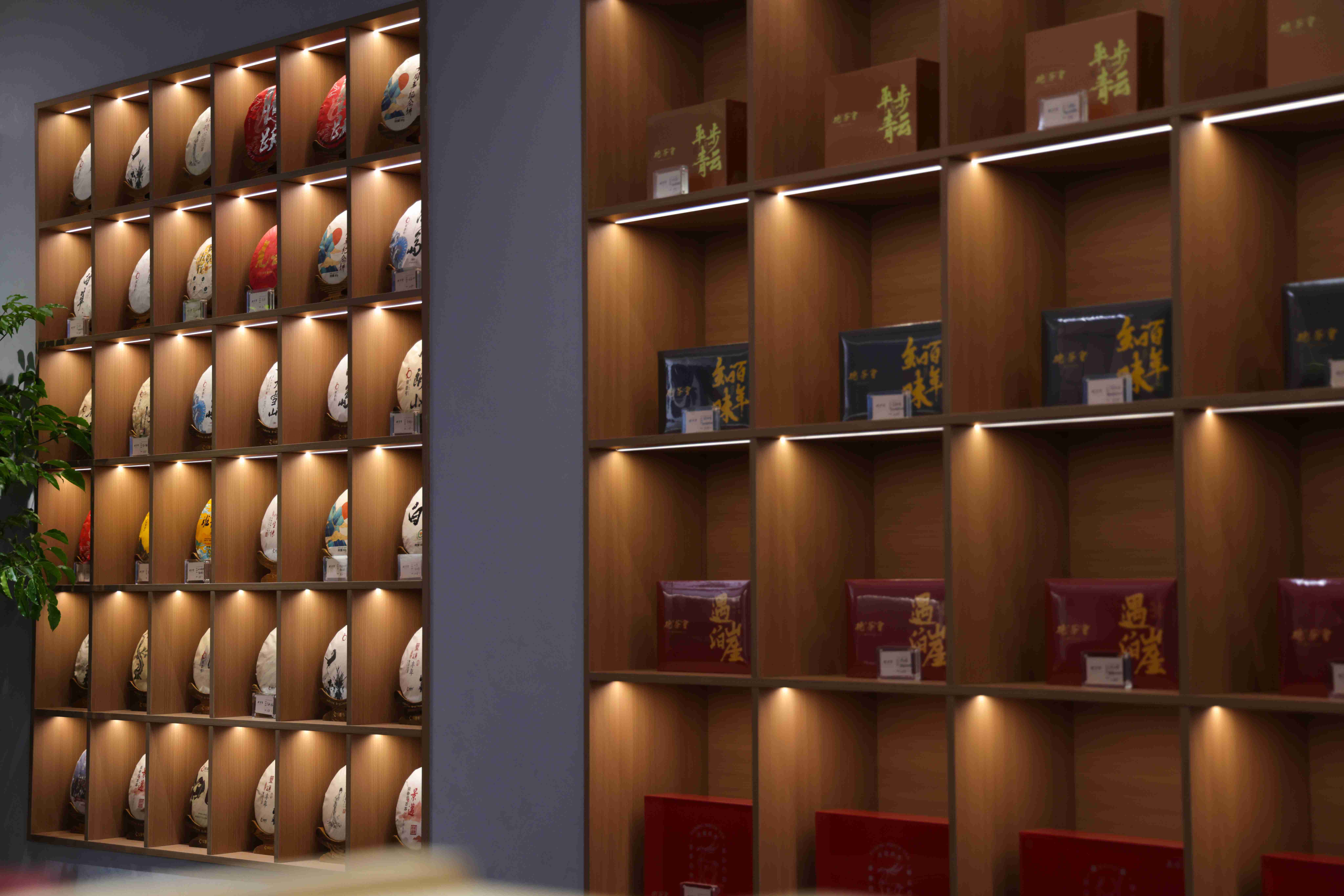 云茶堂茶业有限公司_(云南味茗堂茶业有限公司)  第2张