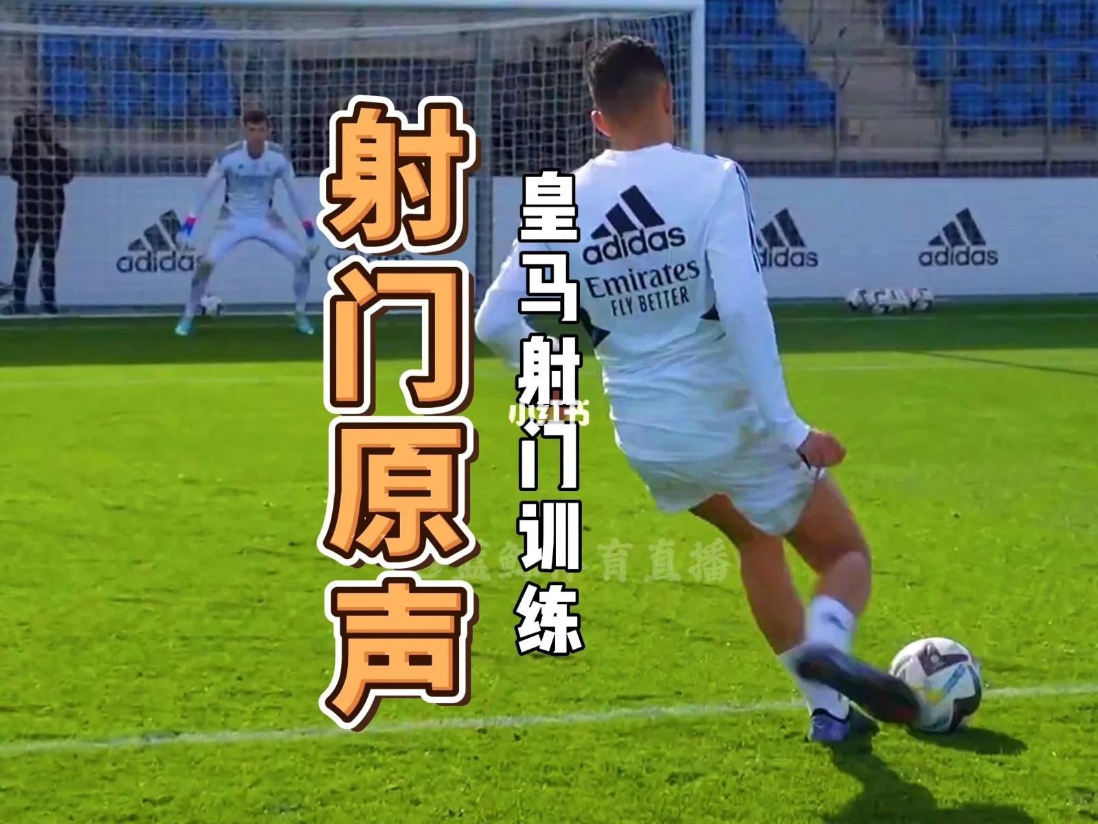 蓝鲸体育直播app下载_(蓝鲸体育直播蓝鲸足球直播) 第1张 蓝鲸体育直播app下载_(蓝鲸体育直播蓝鲸足球直播) 第1张