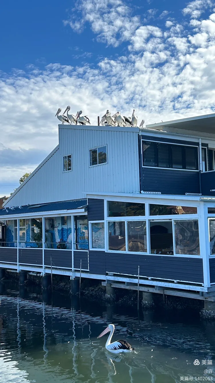 中央海岸_(中央海岸赛程比分500彩票网) 第2张 中央海岸_(中央海岸赛程比分500彩票网) 第2张