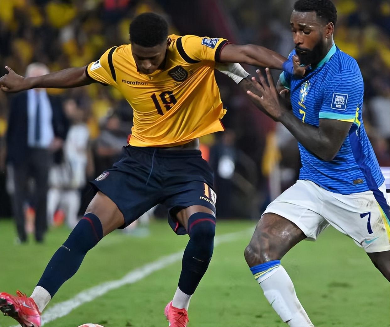 厄瓜多尔本届世预赛仅丢5球南美劲旅展现出色防守的简单介绍  第2张