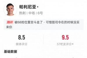 包含帕利尼亚回英超后表现出色获评全场最高分的词条 第2张 包含帕利尼亚回英超后表现出色获评全场最高分的词条 第2张