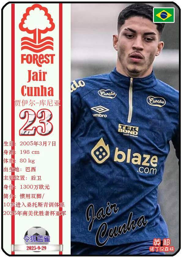 诺丁汉森林公布欧联杯名单津琴科落选的简单介绍 第2张 诺丁汉森林公布欧联杯名单津琴科落选的简单介绍 第2张