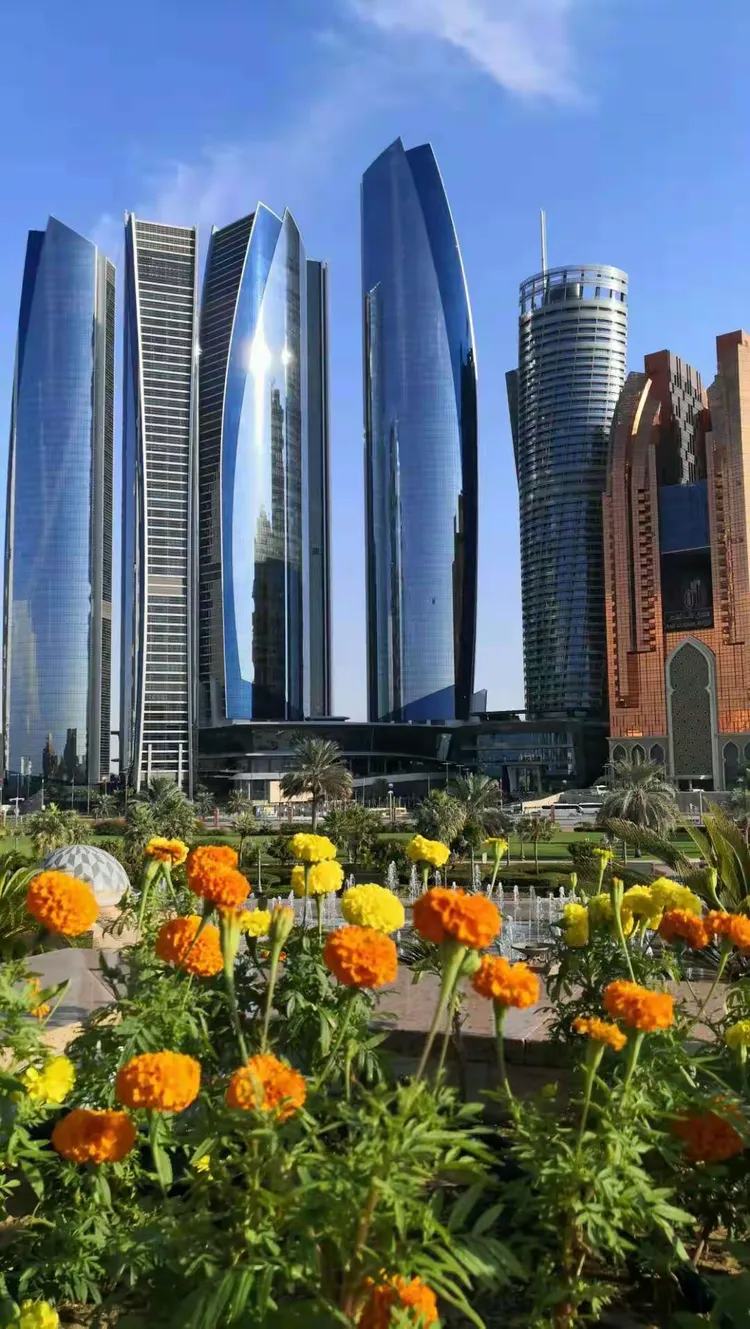 阿联酋甲：迪拜艾蒂法克VS玛吉德FC的简单介绍  第1张