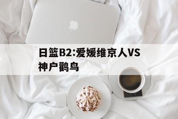 关于日篮B2:爱媛维京人VS神户鹳鸟的信息