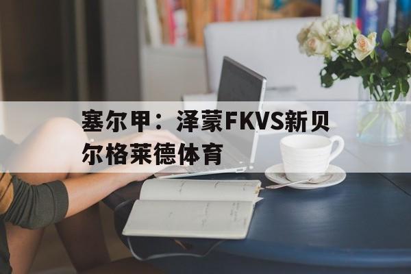 塞尔甲：泽蒙FKVS新贝尔格莱德体育的简单介绍
