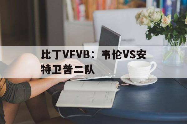 比丁VFVB：韦伦VS安特卫普二队的简单介绍  第1张